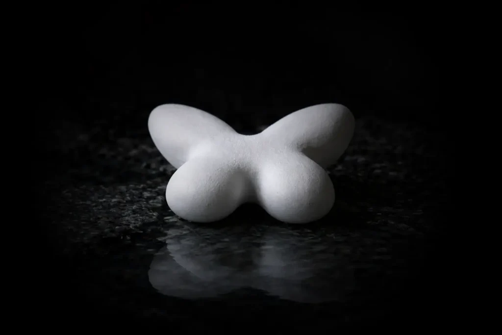 NATURN - De NATURN Stone vlinder vorm gedenksteen wit